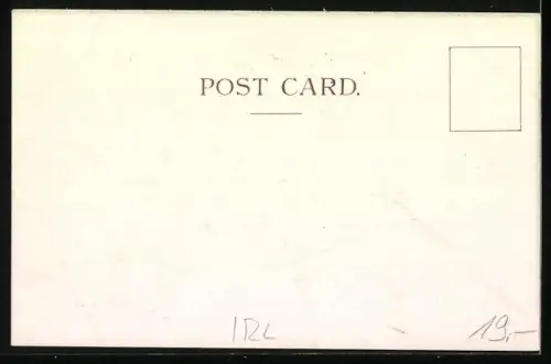 Lithographie Cork, Imperial Hotel and Blarney Castle