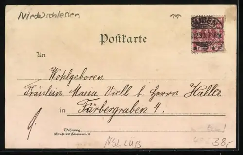 Lithographie Lüben, Totalansicht, Dragoner Kaserne und Siegesdenkmal