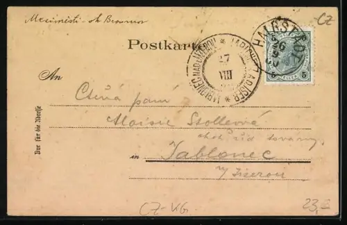 Lithographie Halbstadt, Schloss, Totalansicht, Schroll`sche Spinnerei, Bahnhof