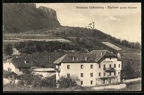 AK Appiano, Pensione Liebenburg aus der Vogelschau