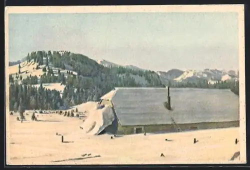 AK Neuberg an der Mürz, Schneealpe, Hinteralm Skihütte im Schnee