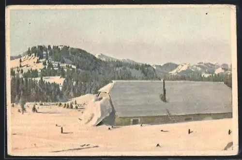 AK Neuberg an der Mürz, Schneealpe, Hinteralm Skihütte im Schnee