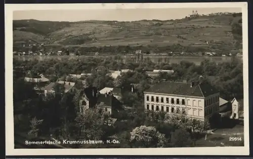 AK Krumnussbaum /N.-Oe., Ortspartie