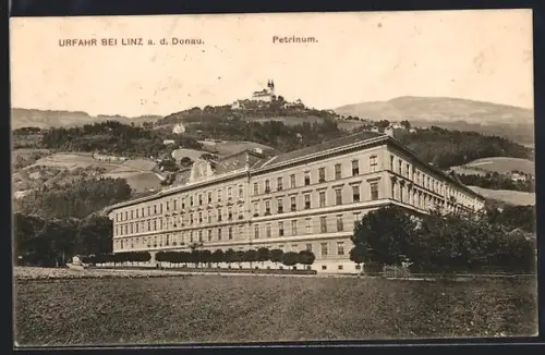 AK Urfahr bei Linz, Petrinum