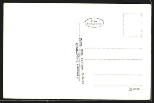 AK Goisern, Stephaneum