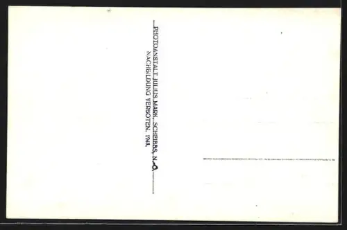 AK Wolfpassing bei Steinakirchen, Strassenpartie mit Schloss