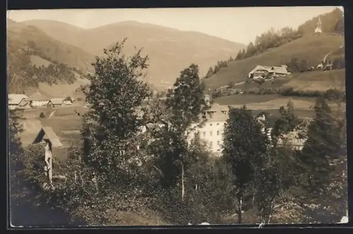 Foto-AK Predlitz, Ortsansicht mit Marterl und Bergpanorama