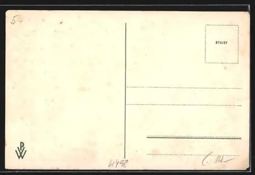 AK Bad Schallerbach, Pension Stadt Wien, Frontansicht