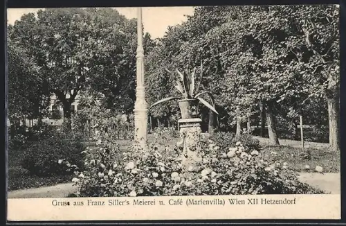 AK Wien, Hetzendorf, Franz Sillers Meierei und Cafe, Gartenansicht mit Säule, Topfpalme