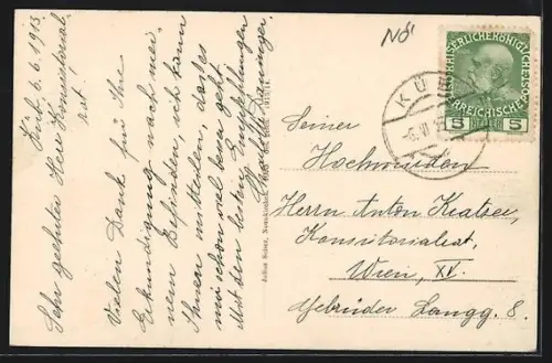 AK Küb a. d. Semmeringbahn, Kur-Pension Wegererhof mit Landstrasse u. Bergen aus der Vogelschau