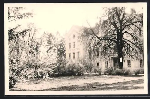 AK Graz, Liebenau, Knaben-Erziehungsanstalt mit Garten