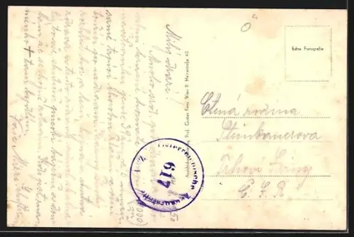 AK Mönichkirchen, Ortsansicht mit Berg