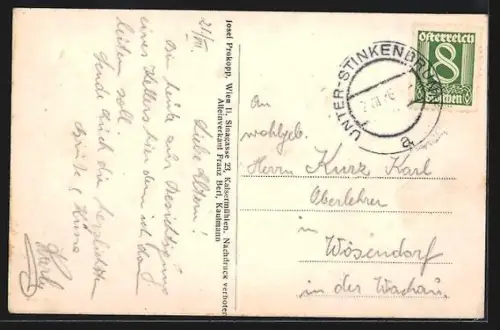 Künstler-AK Unterstinkenbrunn /N.-Oe., Totalansicht mit Platz, Geschäftshaus, Kirche und Fernblick