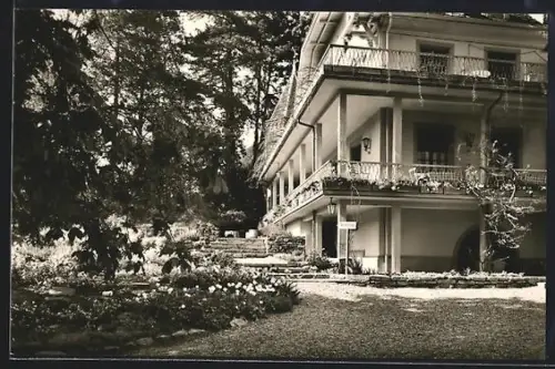 AK Laufen /Baden, Zeppelin-Weinstube und Café im Meierhof