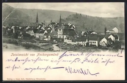 AK Neckargemünd, Totalansicht