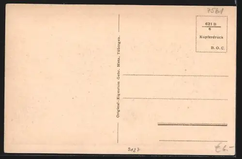 AK Kaltenbronn, Aussichtsturm, Gasthaus, Auerhahn