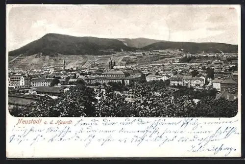 AK Neustadt a. d. Haardt, Stadtansicht mit Weinbergen und Kirchen