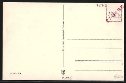 AK Wildbad im Schwarzwald, Ortsansicht mit Kurhäusern und umliegenden Bergen
