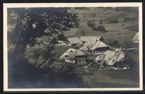 AK Menzenschwand /Schwarzwald, Gruppe von Schwarzwaldhäusern