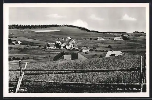 AK Ibach b. St. Blasien, Dorfansicht mit umliegender Landschaft