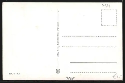 AK Eisenbach / Schwarzwald, Ortsansicht