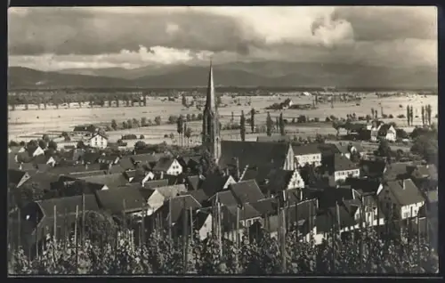 AK Eichstetten a. K., Ortsansicht, Blick nach dem Schwarzwald