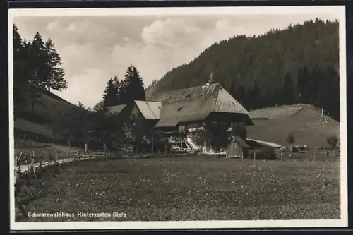 AK Hinterzarten-Steig, Schwarzwaldhaus