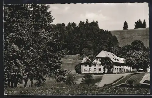 AK St. Märgen /Schwarzwald, Gasthaus und Metzgerei zur Sonne, Bes. K. Hättich, Neuhäusle