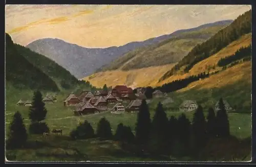 AK Menzenschwand, Dorfansicht im Tal