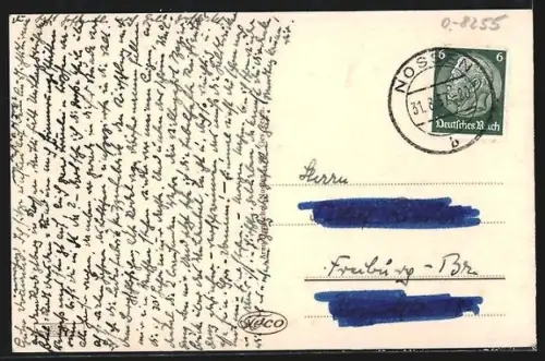 AK Nossen i. Sa., Stadtblick aus den Anlagen