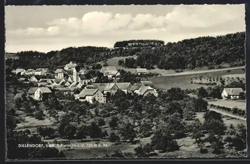 AK Dillendorf /bad. Schwarzwald, Ortsansicht