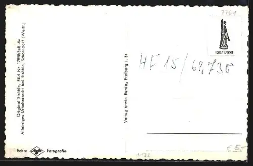 AK Horn am Untersee, Ortsansicht, Seeufer, Hornstaad