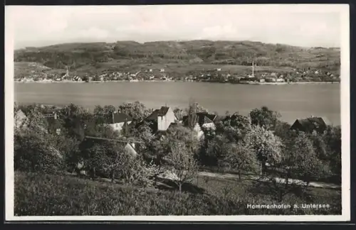AK Hemmenhofen a. Untersee, Blick auf Ort und Seeufer