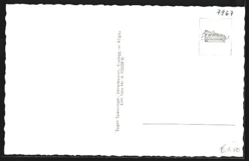 AK Kisslegg im Allgäu, Schloss, Zeller See, Hauptstrasse