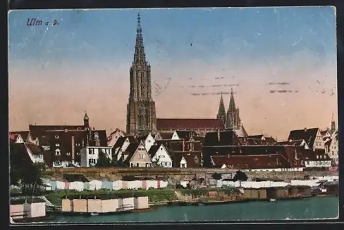 AK Ulm a. D., Münster, Stadtansicht