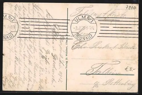 AK Ulm a. D., Münster, Stadtansicht