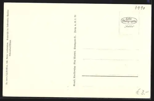 AK Friedrichshafen a. B., Hafen, Ortsansicht