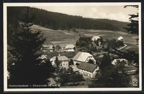 AK Hammereisenbach /Schwarzwald, Ortsansicht mit umliegender Landschaft