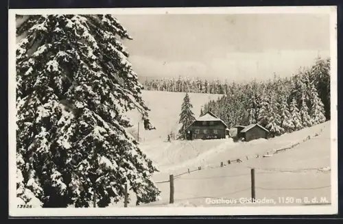 AK Gisiboden /Schwarzwald, Gasthaus Gisiboden, Winterlandschaft