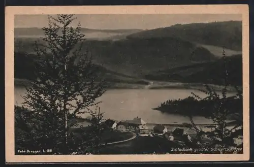 AK Schluchsee /Schwarzwald, Panorama