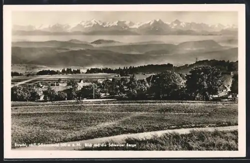 AK Etzwihl /Schwarzwald, Blick auf die Schweizer Berge