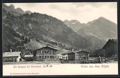 AK Oberstdorf /Allgäu, Die Birgsau, Bauernhäuser, Alpenpanorama