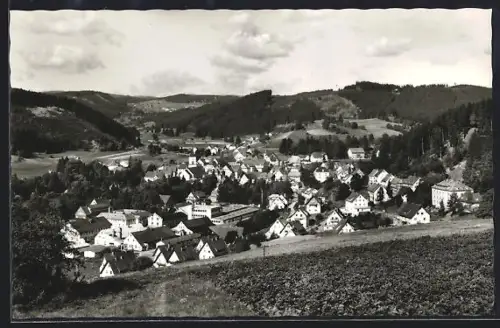 AK Lenzkirch /Hochschwarzwald, Ortsansicht im Tal