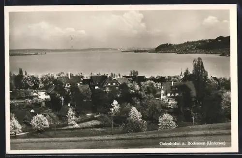 AK Gaienhofen a. Bodensee, Ortsansicht, See, Uferlandschaft