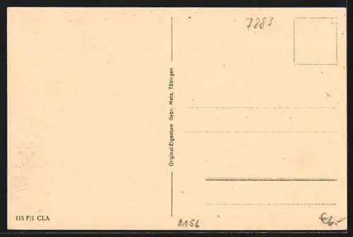 AK Tiefenstein /Albtal, Ortsansicht