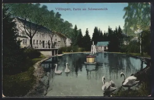 AK Villingen / Baden, Partie am Schwanenteich