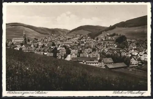 AK Furtwangen, Gesamtansicht vom Hausberg