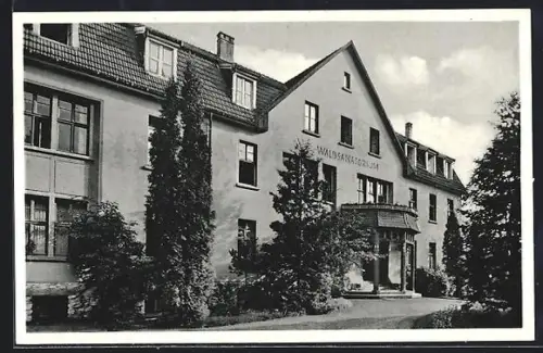 AK Bad Lippspringe, Waldsanatorium