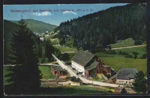 AK Neustadt /bad. Schwarzw., Blessinghof und umliegende Landschaft
