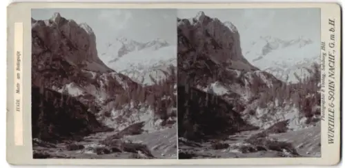 Stereo-Fotografie Würthle & Sohn Nachf., Salzburg, Ansicht Bellopolje, Berglandschaft an der Baumgrenze